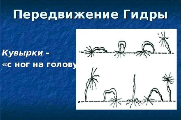 Ссылка на kraken в тор браузер