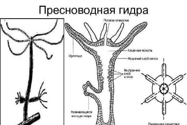 BlackSprut ссылка для тор браузера