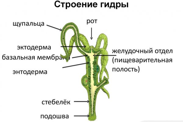 Актуальные ссылки даркнет