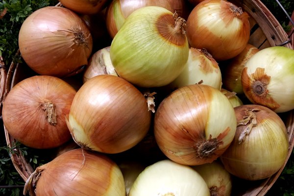 Кракен krakenruzxpnew4af onion